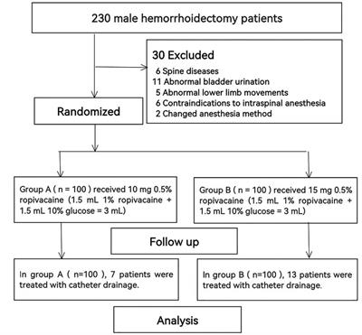 Effect of single spinal anesthesia with two doses ropivacaine on urinary retention after hemorrhoidectomy in male patients